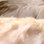 torrent