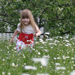 girl daisy meadow