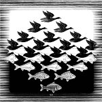 Escher - birds or fish?